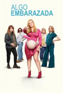 Algo embarazada 1080p Dual