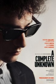 Un completo desconocido 1080p Dual