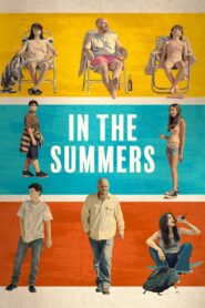 In the Summers 1080p Sub Español
