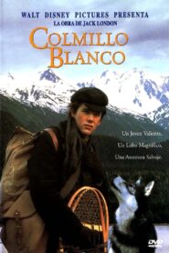 Colmillo blanco (1991) 1080p Dual Latino