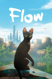 Flow 1080p