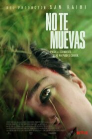 No te muevas 1080p Dual Latino