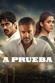 A prueba (2025) 1080p Dual