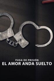 Fuga de prisión: El amor anda suelto 1080p Dual Latino