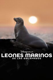 Leones Marinos de las Galápagos 1080p Dual Latino