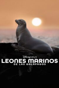 Leones Marinos de las Galápagos 1080p Dual Latino