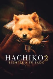 Siempre a tu lado – Hachiko 2 1080p Dual Latino