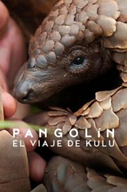 Pangolín: El viaje de Kulu 1080p Dual Latino