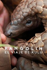 Pangolín: El viaje de Kulu 1080p Dual Latino