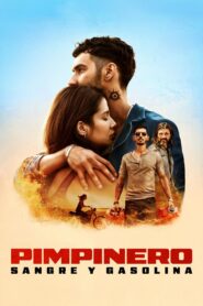 Pimpinero: Sangre y gasolina 1080p Dual Latino