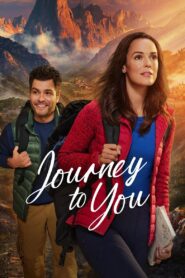 Journey to You 1080p Sub Español