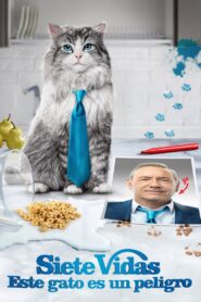 Mi papá es un gato 1080p Dual Latino
