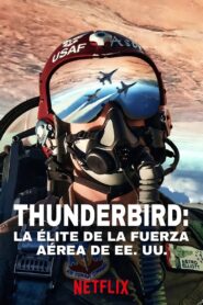 Thunderbirds: La élite de la Fuerza Aérea de EE. UU. 1080p Dual Latino