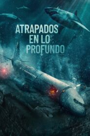 Atrapados en lo Profundo 1080p Dual Latino
