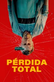 Pérdida total 1080p Dual Latino