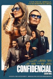 Código negro (2025) Online Latino HD