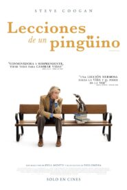 Lecciones De Un Pingüino (2025) Online Sub Latino HD