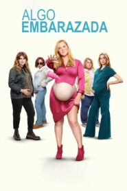 Algo embarazada Online Latino HD