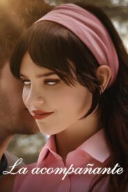 Compañera perfecta (2025) Online Latino HD