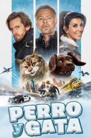Perro y Gata (2024) Online Latino HD